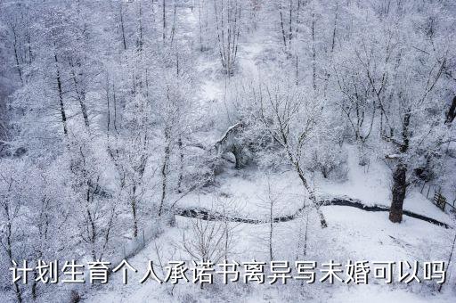 未婚承諾書，辦房產證要寫單身承諾書誰知道怎么寫的