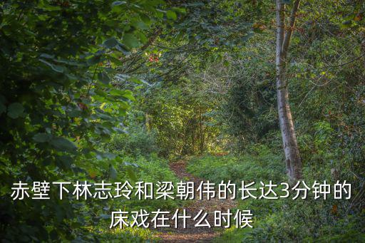 赤壁下林志玲和梁朝偉的長達(dá)3分鐘的床戲在什么時(shí)候
