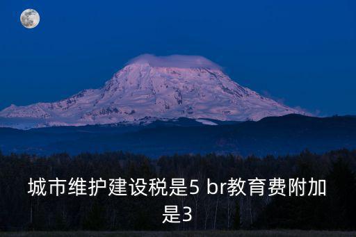 城市維護建設稅是5 br教育費附加是3