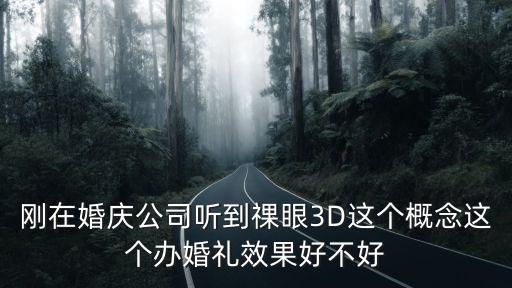 剛在婚慶公司聽到祼眼3D這個(gè)概念這個(gè)辦婚禮效果好不好