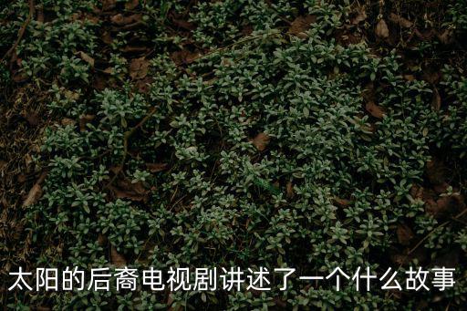 太陽的后裔電視劇講述了一個什么故事