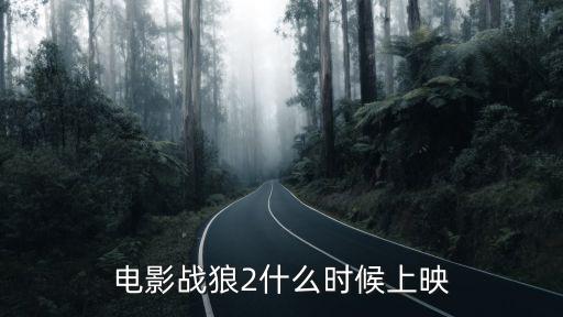 電影戰(zhàn)狼2什么時(shí)候上映