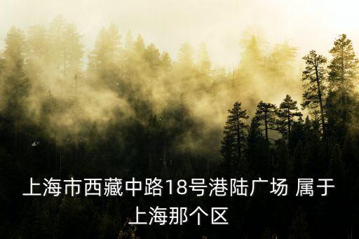 上海市西藏中路18號港陸廣場 屬于上海那個區