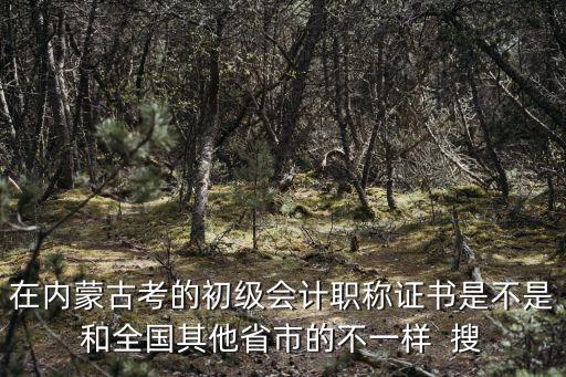 在內蒙古考的初級會計職稱證書是不是和全國其他省市的不一樣  搜