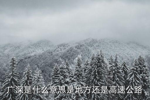 廣深是什么意思是地方還是高速公路