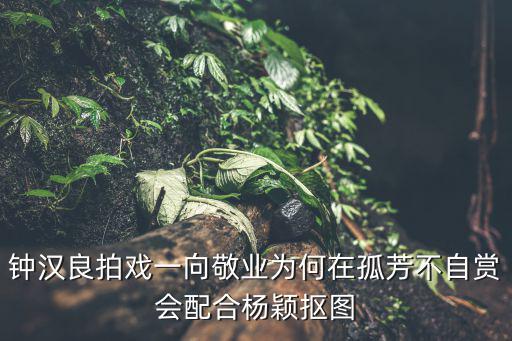 鐘漢良拍戲一向敬業為何在孤芳不自賞會配合楊穎摳圖