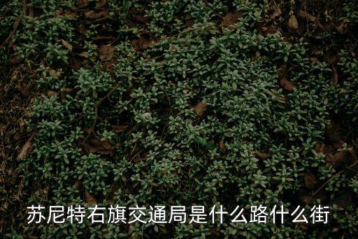 蘇尼特右旗交通局是什么路什么街