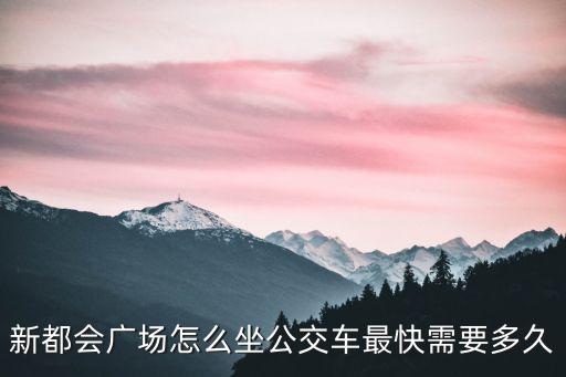 新都會廣場怎么坐公交車最快需要多久