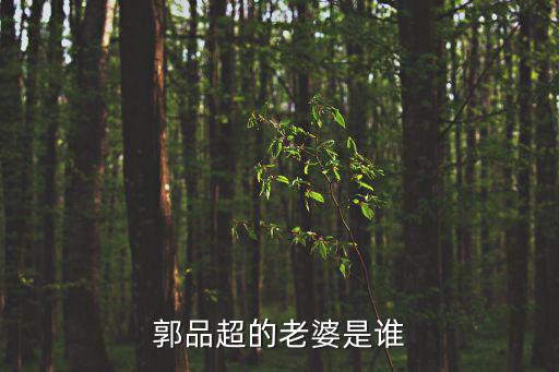 郭品超的老婆是誰