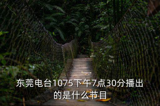 東莞電臺1075下午7點30分播出的是什么節目