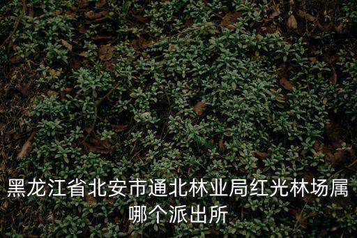 紅光派出所，秦皇島海港區紅光北里歸哪個派出所管轄