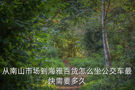 從南山市場到海雅百貨怎么坐公交車最快需要多久