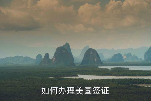 美國簽證辦理，美國簽證辦理流程
