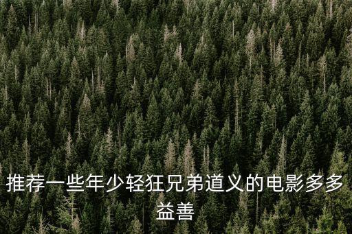 推薦一些年少輕狂兄弟道義的電影多多益善