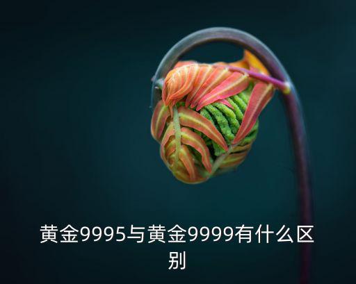黃金9995與黃金9999有什么區別
