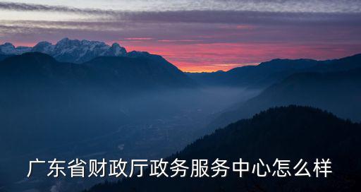 廣東省財政廳政務服務中心怎么樣