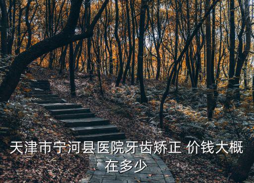天津市寧河縣醫(yī)院牙齒矯正 價錢大概在多少