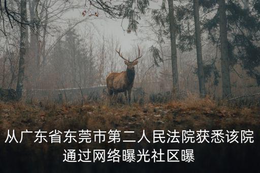 從廣東省東莞市第二人民法院獲悉該院通過網絡曝光社區曝