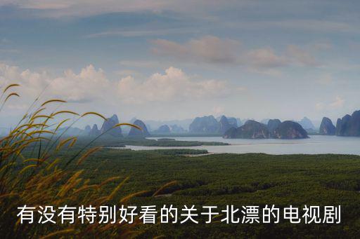 有沒有特別好看的關于北漂的電視劇