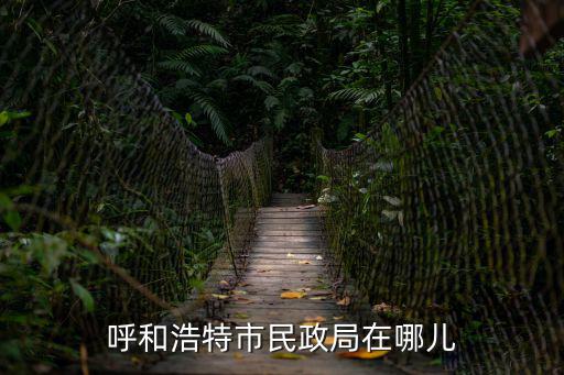 呼和浩特市民政局在哪兒