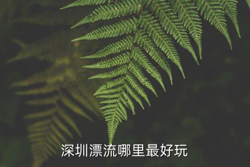 深圳漂流哪里最好玩