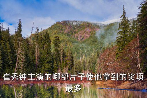 崔秀鐘主演的哪部片子使他拿到的獎項最多