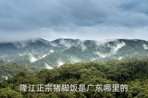 隆江正宗豬腳飯是廣東哪里的