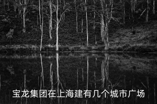 奉賢寶龍廣場，寶龍集團在上海建有幾個城市廣場