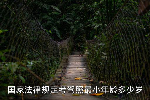 國家法律規定考駕照最小年齡多少歲