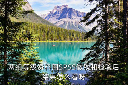 等級資料，兩組等級資料用SPSS做秩和檢驗后結果怎么看呀