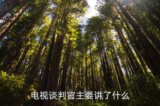 電視談判官主要講了什么