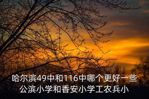 哈爾濱49中和116中哪個更好一些公濱小學和香安小學工農兵小