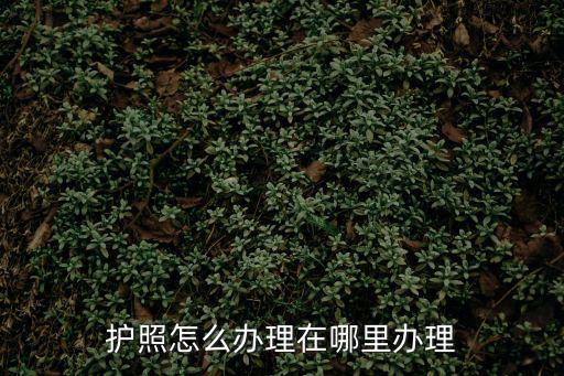 護(hù)照怎么辦理在哪里辦理