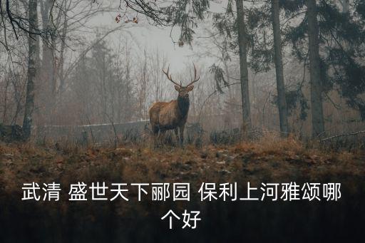 武清 盛世天下酈園 保利上河雅頌哪個好