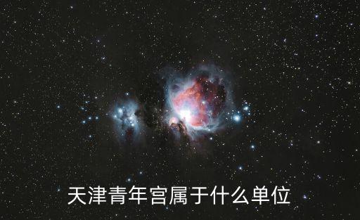 天津青年宮屬于什么單位