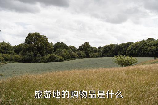 旅游地的購(gòu)物品是什么