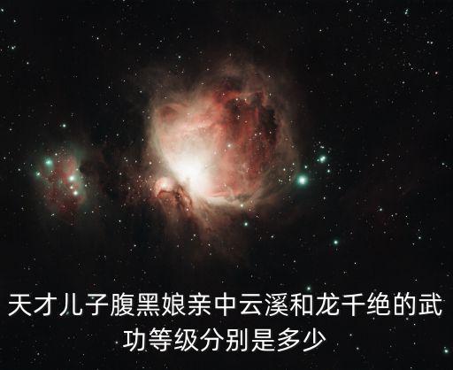 天才兒子腹黑娘親中云溪和龍千絕的武功等級(jí)分別是多少