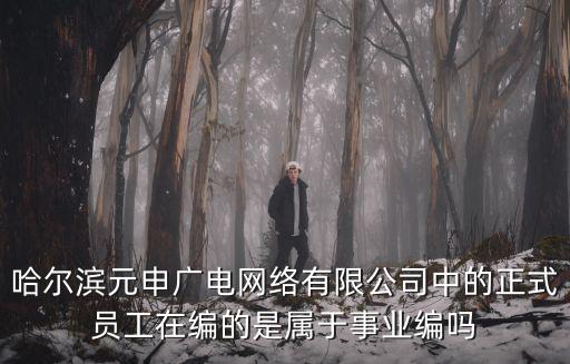 哈爾濱元申廣電網(wǎng)絡有限公司中的正式員工在編的是屬于事業(yè)編嗎