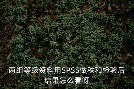 兩組等級資料用SPSS做秩和檢驗后結(jié)果怎么看呀