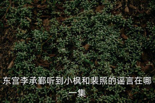 東宮李承鄞聽到小楓和裴照的謠言在哪一集