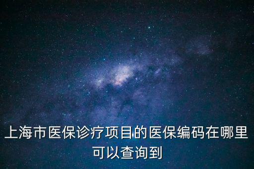 上海市醫保診療項目的醫保編碼在哪里可以查詢到