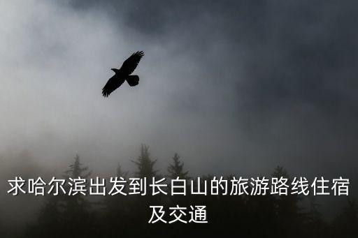 哈爾濱到長白山，哈爾濱去長白山