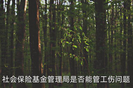 社會(huì)保險(xiǎn)基金管理局是否能管工傷問(wèn)題