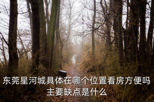 東莞星河城具體在哪個位置看房方便嗎主要缺點是什么