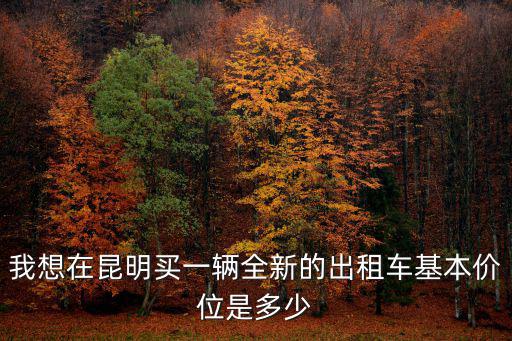 我想在昆明買一輛全新的出租車基本價位是多少