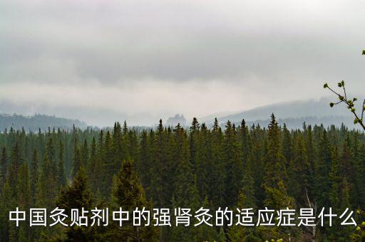 中國(guó)灸貼劑中的強(qiáng)腎灸的適應(yīng)癥是什么
