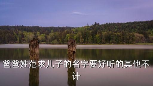 爸爸姓范求兒子的名字要好聽的其他不計