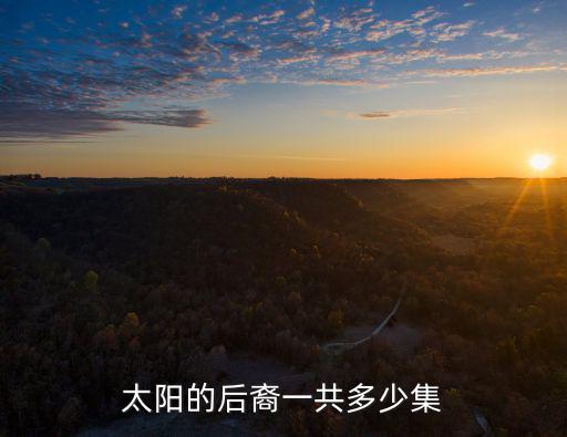 太陽(yáng)的后裔一共多少集