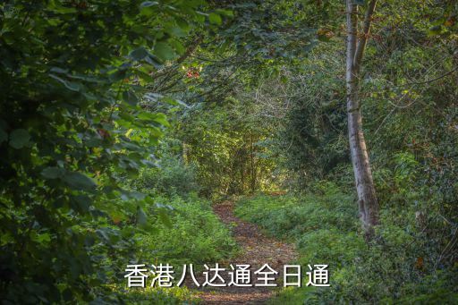香港八達通全日通