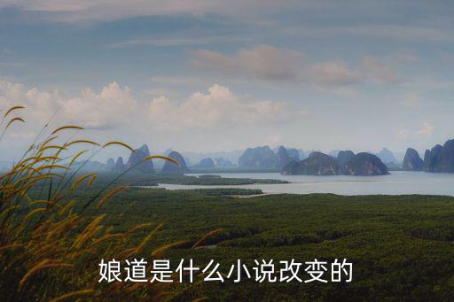 娘道是什么小說改變的